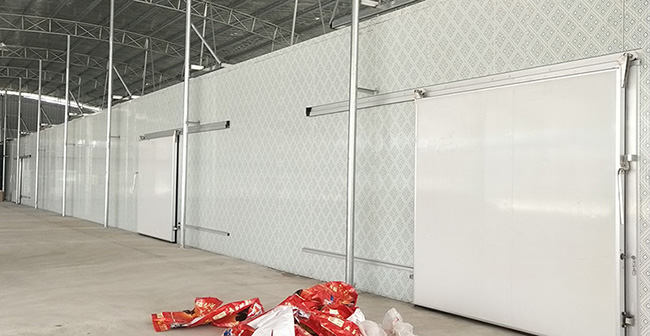 安遠(yuǎn)臍橙催熟冷庫安裝案例